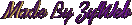 Made By ZyWeb